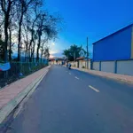 Bán 7.000m² đất vườn Long Khánh, 14 tỷ, mặt tiền 75m - Ảnh thu nhỏ 4