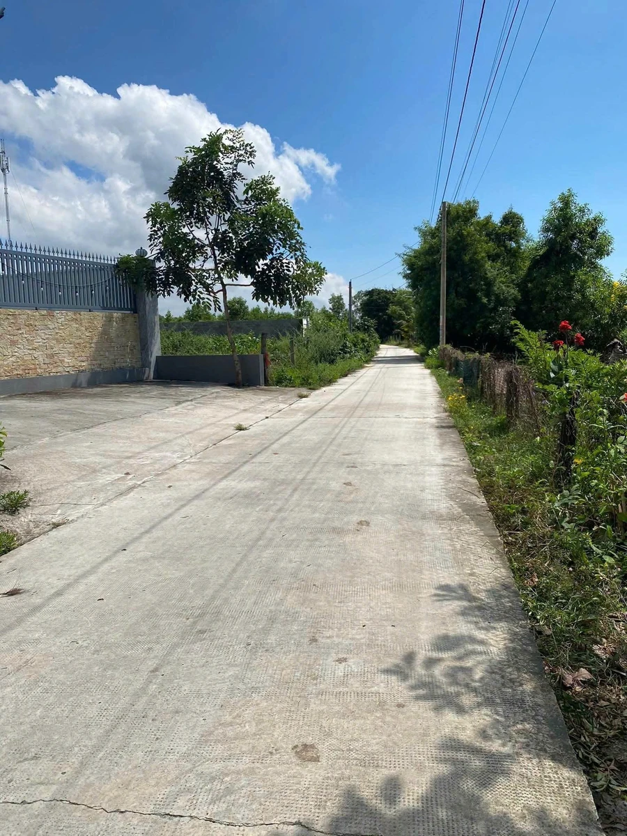 Bán 1300m2 đất cây lâu năm Lagi Bình Thuận 2 tỷ - Ảnh thu nhỏ 2