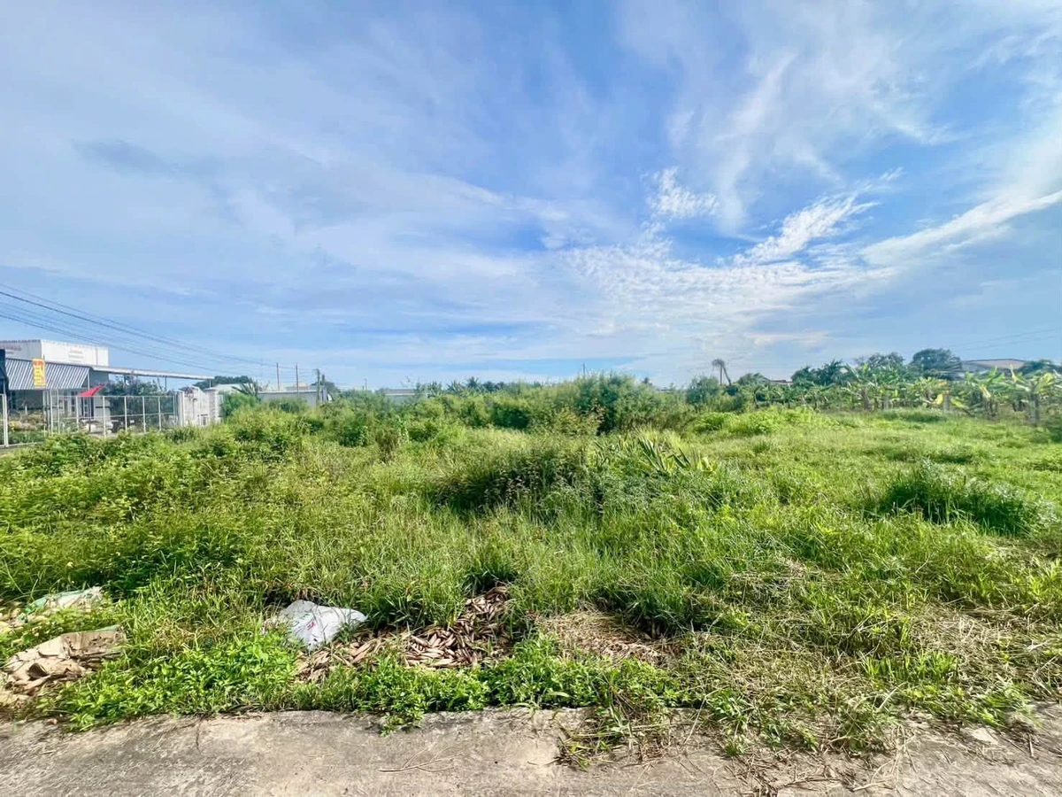 Bán đất sào lô góc 1120m² Hàm Hiệp, Bình Thuận - Ảnh thu nhỏ 3