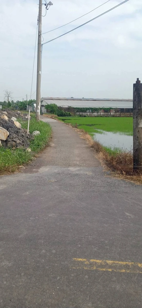 Bán nền đất 365m2 mặt tiền đường Tây Ninh - Ảnh thu nhỏ 2