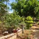 Bán đất nông nghiệp 8445m² TP Đà Lạt – 15 tỷ - Ảnh thu nhỏ 4