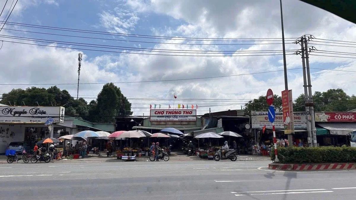 Bán đất mặt tiền An Tây 2100m2, giá 29 tỷ - Ảnh 1
