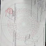 Bán đất xây nhà vườn 860m² Tân Trụ, Long An 1,5 tỷ - Ảnh thu nhỏ 3