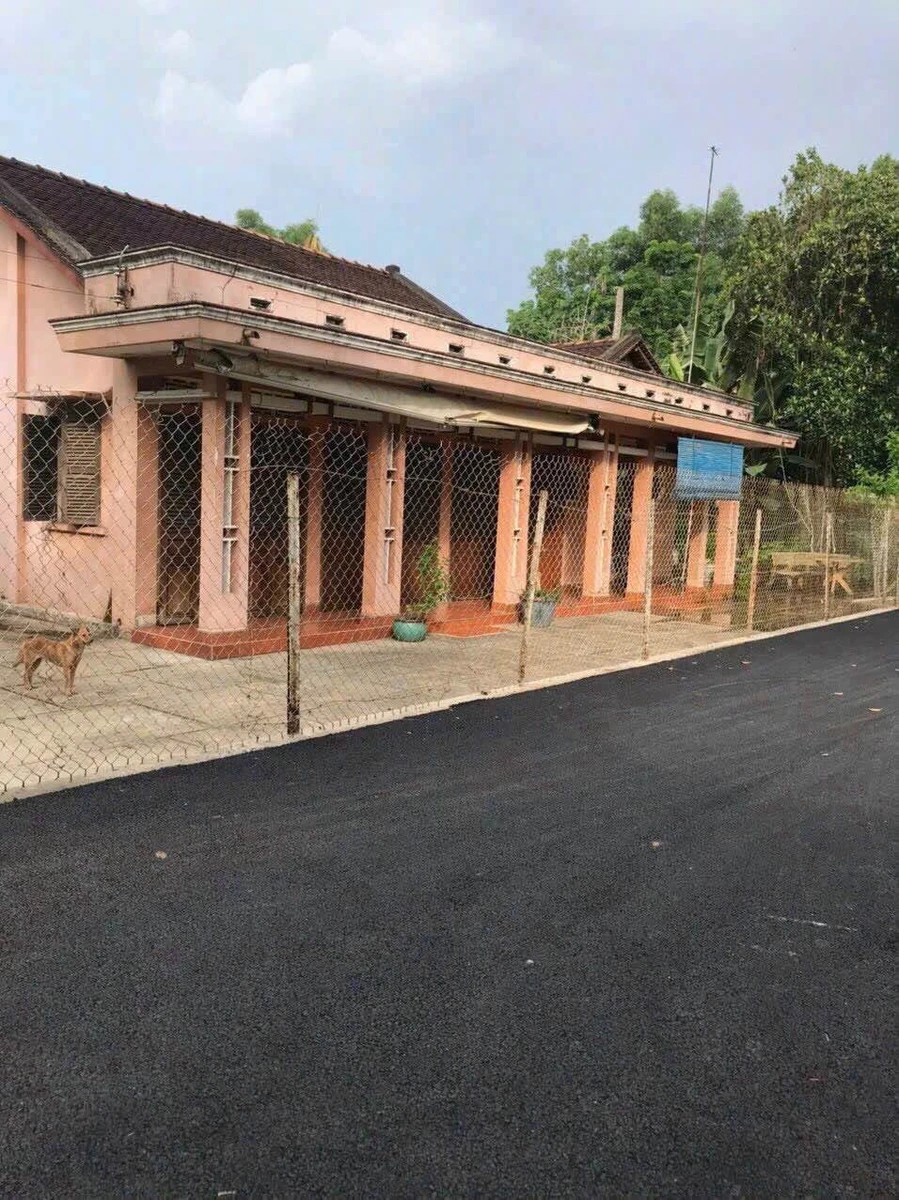 Bán nhà C4 cổ xưa 563m² Phường Chánh Hưởng Bình Chánh - Ảnh thu nhỏ 2