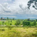 Bán đất nông nghiệp 2ha Eakao, Buôn Ma Thuột, 400 triệu/sào - Ảnh thu nhỏ 2