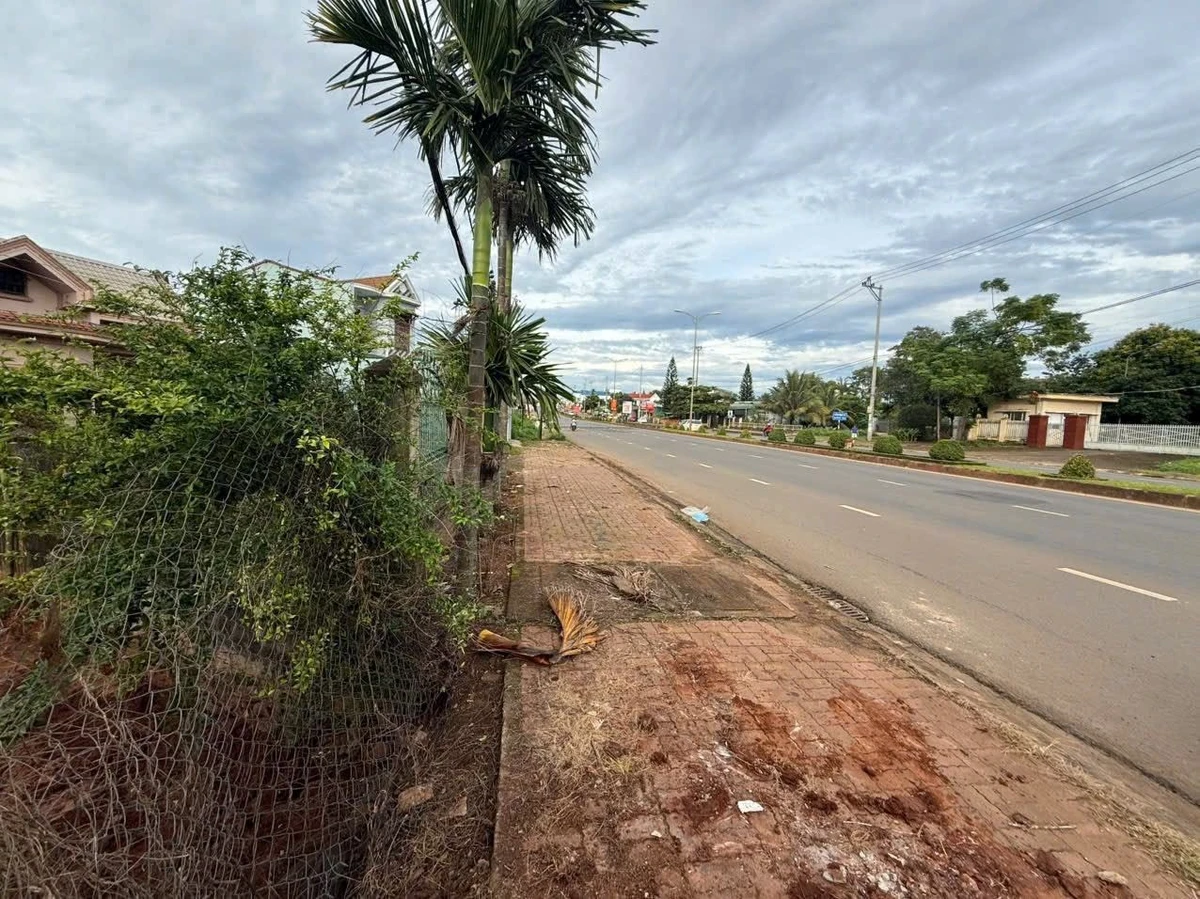 Bán đất mặt tiền Nguyễn Văn Linh, gần cầu Đạt Lý, sổ hồng riêng, giá 4,5 tỷ - Ảnh 1