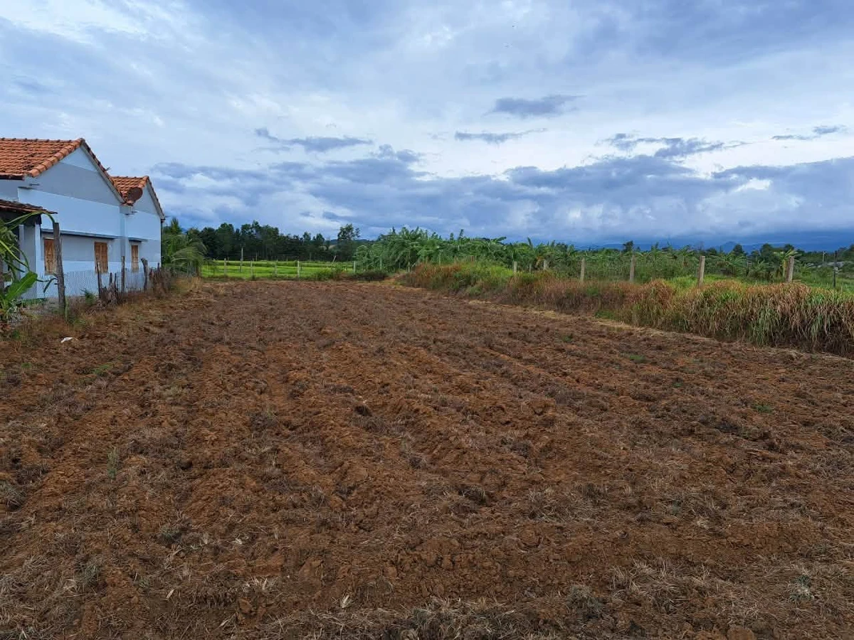 Bán đất 1800m² tặng nhà vườn 120m² 3 phòng ngủ Tân Bình - Ảnh thu nhỏ 3