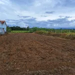 Bán đất 1800m² tặng nhà vườn 120m² 3 phòng ngủ Tân Bình - Ảnh thu nhỏ 3