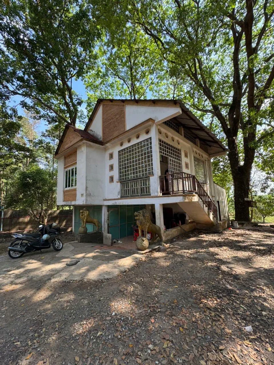 Bán biệt thự vườn nghỉ dưỡng 8500m² Hố Nai 14 tỷ 500 - Ảnh thu nhỏ 5