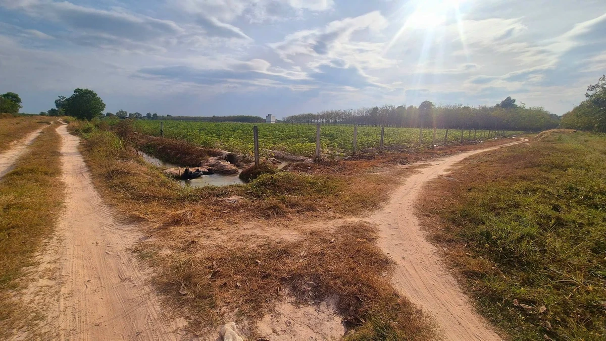 Bán đất 1000m² ở Hảo Dước, Tây Ninh - Ảnh thu nhỏ 4