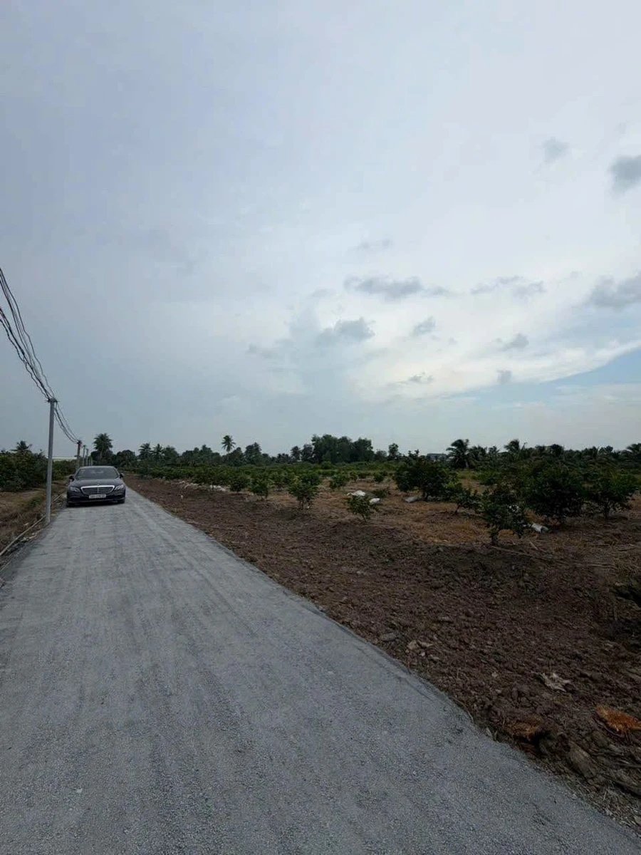 Bán đất Bến Lức Long An 500-1000m² gần QL1A - Ảnh thu nhỏ 2