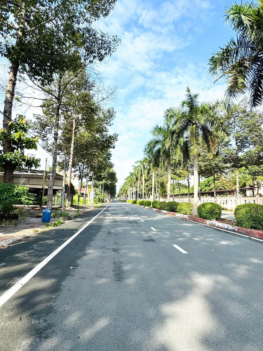 Bán đất mặt tiền Phan Đình Giót 168 m², Chơn Thành, Bình Dương - Ảnh thu nhỏ 3