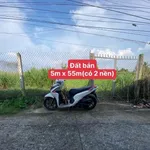 Bán 2 nền đất thổ cư liền kề 275m2 và 272m2 Long An - Ảnh thu nhỏ 2