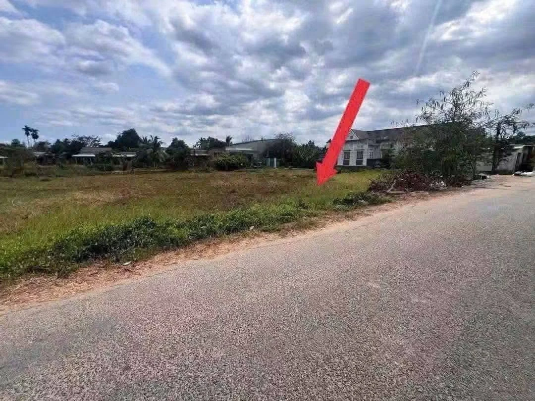 Bán đất 700m² mặt đường Mai Bá Hương, Tân An, Long An - Ảnh thu nhỏ 3
