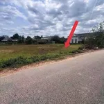 Bán đất 700m² mặt đường Mai Bá Hương, Tân An, Long An - Ảnh thu nhỏ 3