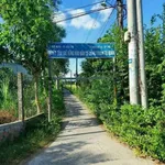 Bán đất Phú Hưng Nhà Bè 160m2 giá 505 triệu - Ảnh thu nhỏ 1