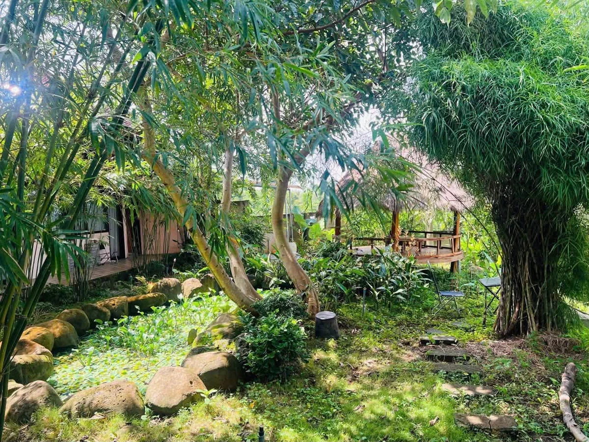 Bán nhà khai thác homestay 1.163m² ở KM12 QL26, Đắk Lắk, doanh thu 15–20tr/tháng - Ảnh thu nhỏ 4
