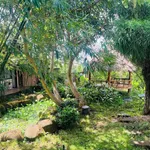 Bán nhà khai thác homestay 1.163m² ở KM12 QL26, Đắk Lắk, doanh thu 15–20tr/tháng - Ảnh thu nhỏ 4