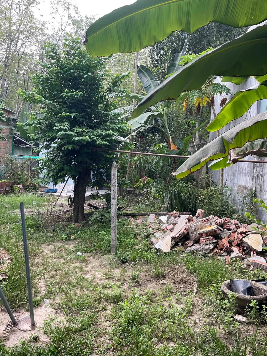 Bán đất Bình Mỹ 834m2 1 tỷ 8 - Ảnh thu nhỏ 3