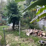 Bán đất Bình Mỹ 834m2 1 tỷ 8 - Ảnh thu nhỏ 3