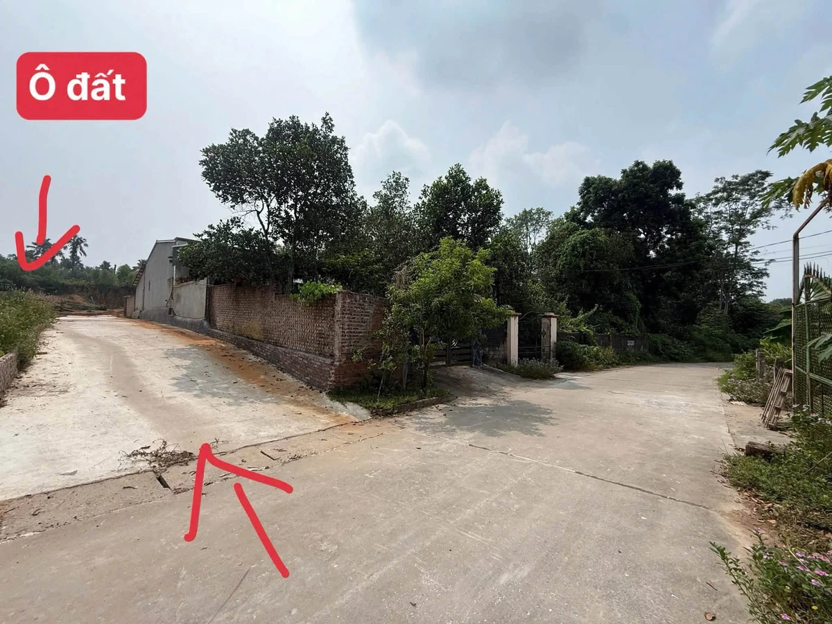 Bán đất 101m2 thổ cư 80m2 gần khu công nghiệp Bắc Lâm Thao - Ảnh thu nhỏ 2