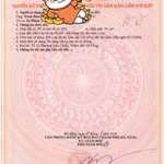 Bán đất 75m2 kiệt ôtô Nguyễn Lương Bằng, Quận 1 - Ảnh thu nhỏ 3