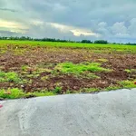 Bán đất nền 100m² Kinh 5 Thạnh Lộc 190 triệu - Ảnh thu nhỏ 4