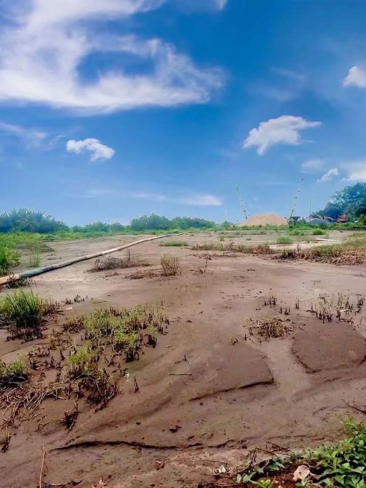 Bán 20.000m² đất mặt tiền cảng Giao Long Bến Tre - Ảnh 1