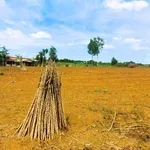 Bán lô đất 1.096m² Bàu Cạn, Long Thành, gần sân bay - Ảnh thu nhỏ 2