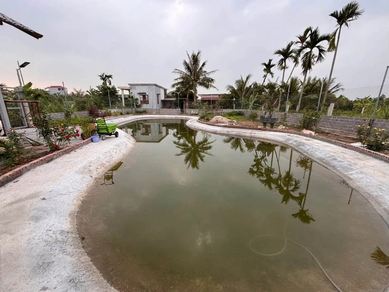 Nhà vườn bán 1000m² Tư Thuỷ, Nhà Bè 4,25 tỷ
