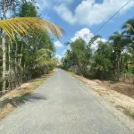 Bán đất tại xã Phú Quới, huyện Long Hồ, Vĩnh Long, giá siêu hời 3,9 tỷ, 1169,2 m2 - Ảnh thu nhỏ 16