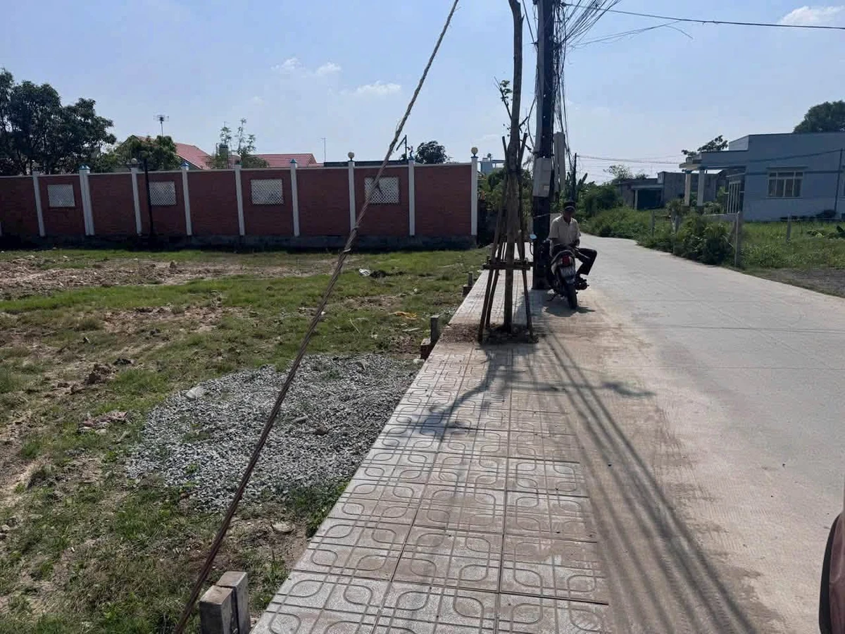 Bán 4 lô đất liền kề 145m² mặt tiền Tinh lộ 823D, Mỹ Hạnh 1 tỷ 250 triệu - Ảnh 1