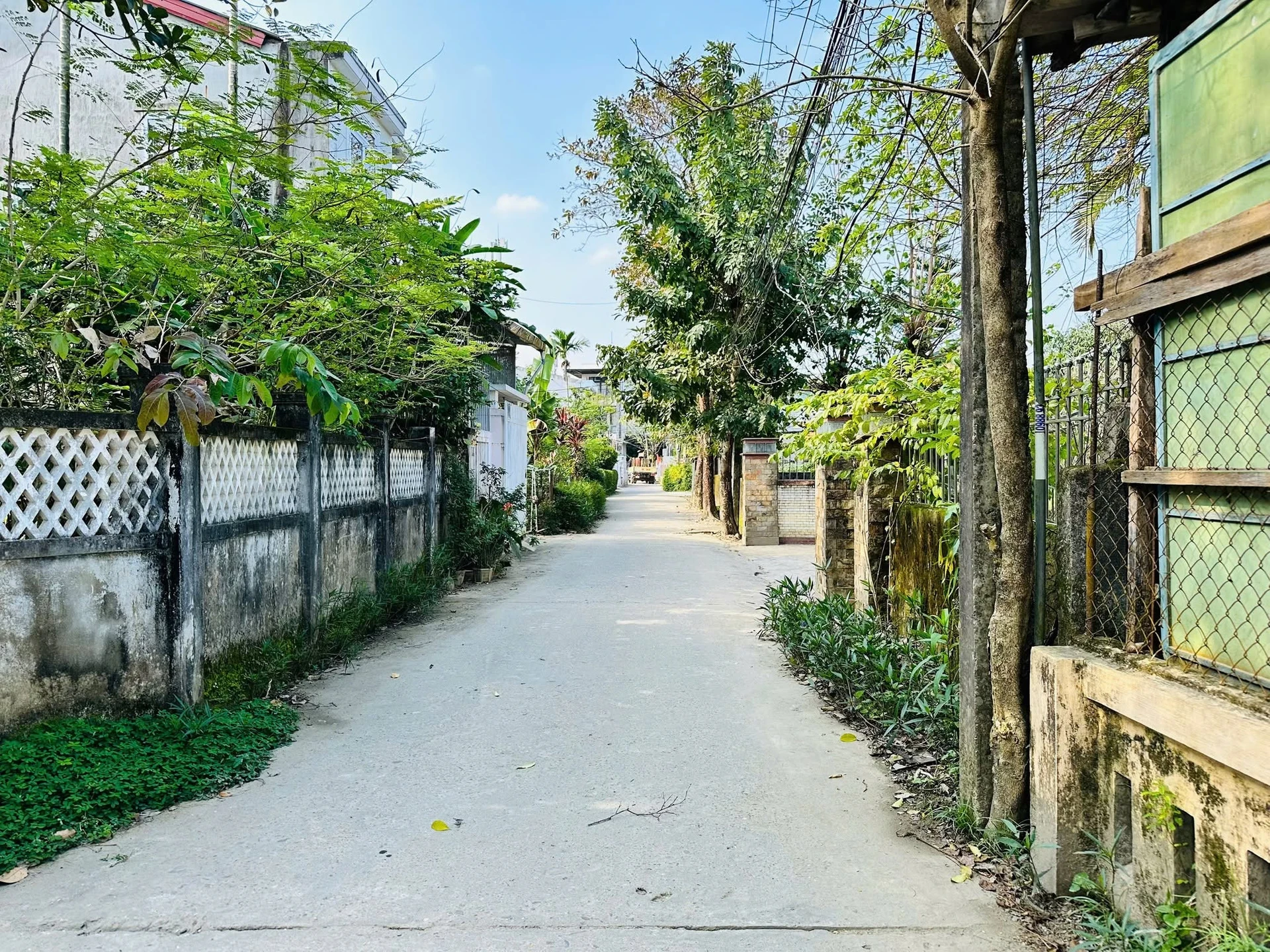 Bán đất 172m² có nhà cấp 4 Nhà Bè gần cầu Nguyễn Hoàng 3.8 tỷ - Ảnh 1