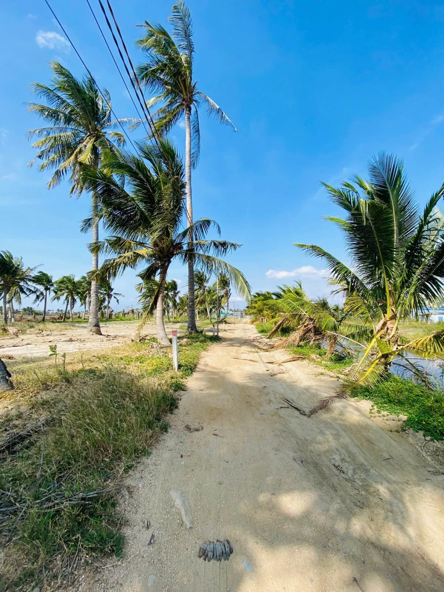Bán lô đất vườn 300m² Ninh Chữ, Khánh Hòa, 420 triệu - Ảnh thu nhỏ 3