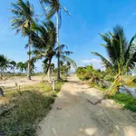 Bán lô đất vườn 300m² Ninh Chữ, Khánh Hòa, 420 triệu - Ảnh thu nhỏ 3