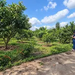 Bán nền đất 16x32m (512m²) gần chợ Bình Lộc Long Khánh 950 triệu - Ảnh thu nhỏ 2
