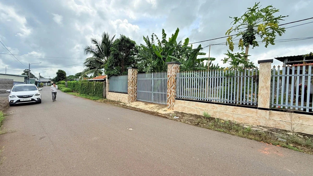 Bán lô nhà vườn 649m² mặt tiền Nguyễn Hùng Mạnh gần Chợ Đất Đỏ - Ảnh thu nhỏ 2