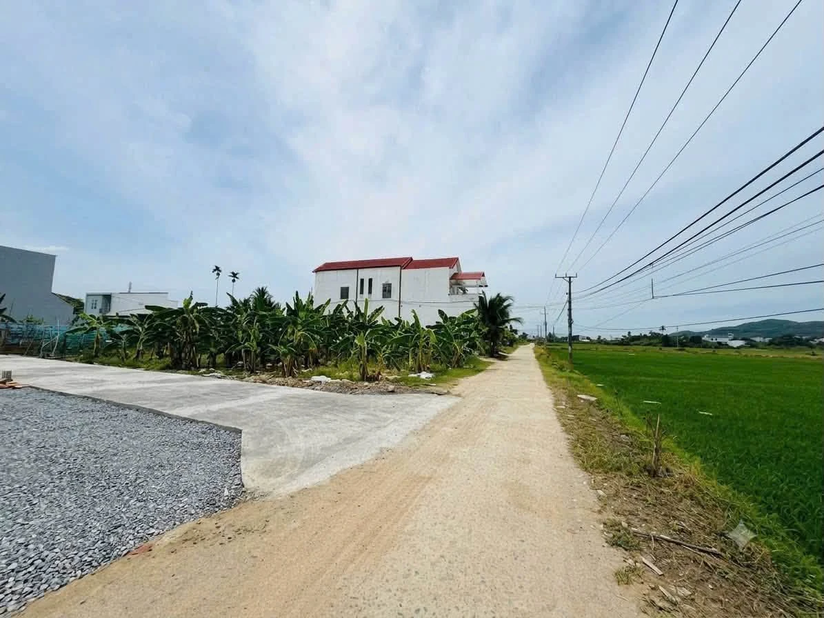 Bán lô đất 62,2m2 Đầu Cầu Diên An Khánh Hòa 1 tỷ 350 triệu - Ảnh thu nhỏ 3