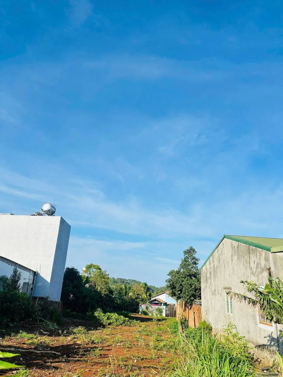 Bán đất 2 mặt tiền đường 19/5, 1000m2, Bình Chánh, 14 tỷ - Ảnh thu nhỏ 4