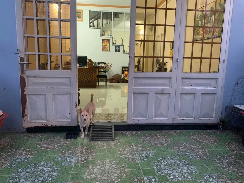 Bán nhà 1T1L 100m2 mặt tiền Trần Quang Diệu Lâm Đồng
