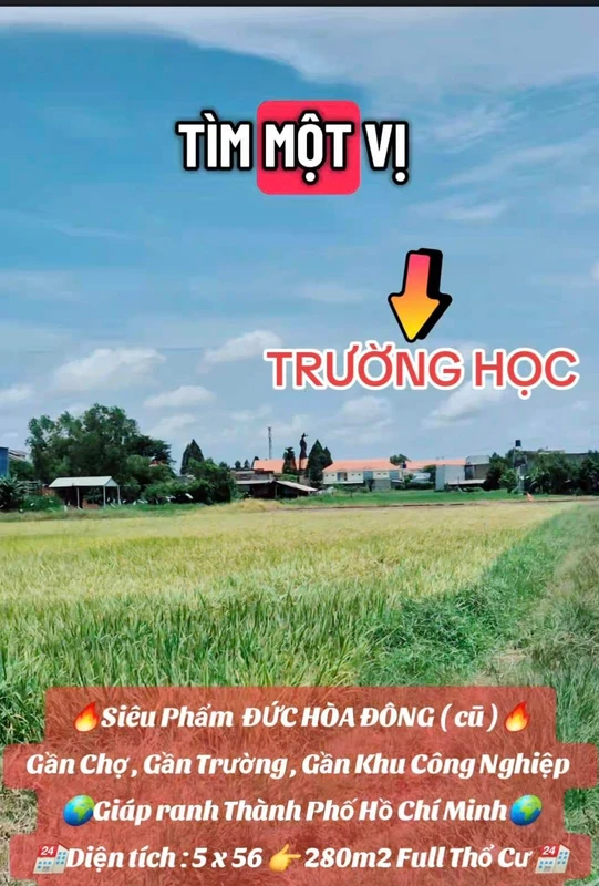 Bán đất thổ cư 280m2 sổ hồng riêng mặt tiền đường bê tông 5m, Xã Mỹ Hạnh, Tây Ninh