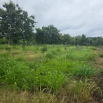 Bán đất 1.3ha Thiện Hưng Đồng Nai view suối - Ảnh thu nhỏ 4