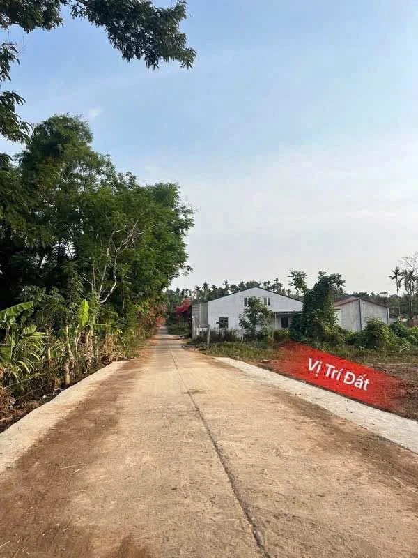 Bán đất Cần Giờ 125m² Komleo 1 tỷ 150 - Ảnh 1