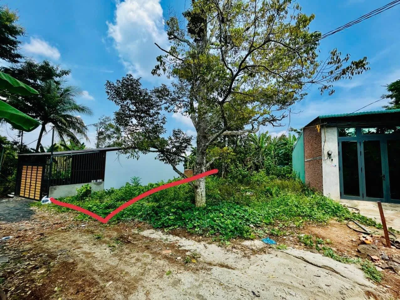 Bán đất nền 100m² hẻm Mai Thị Lựu Quận 1 - Ảnh 1