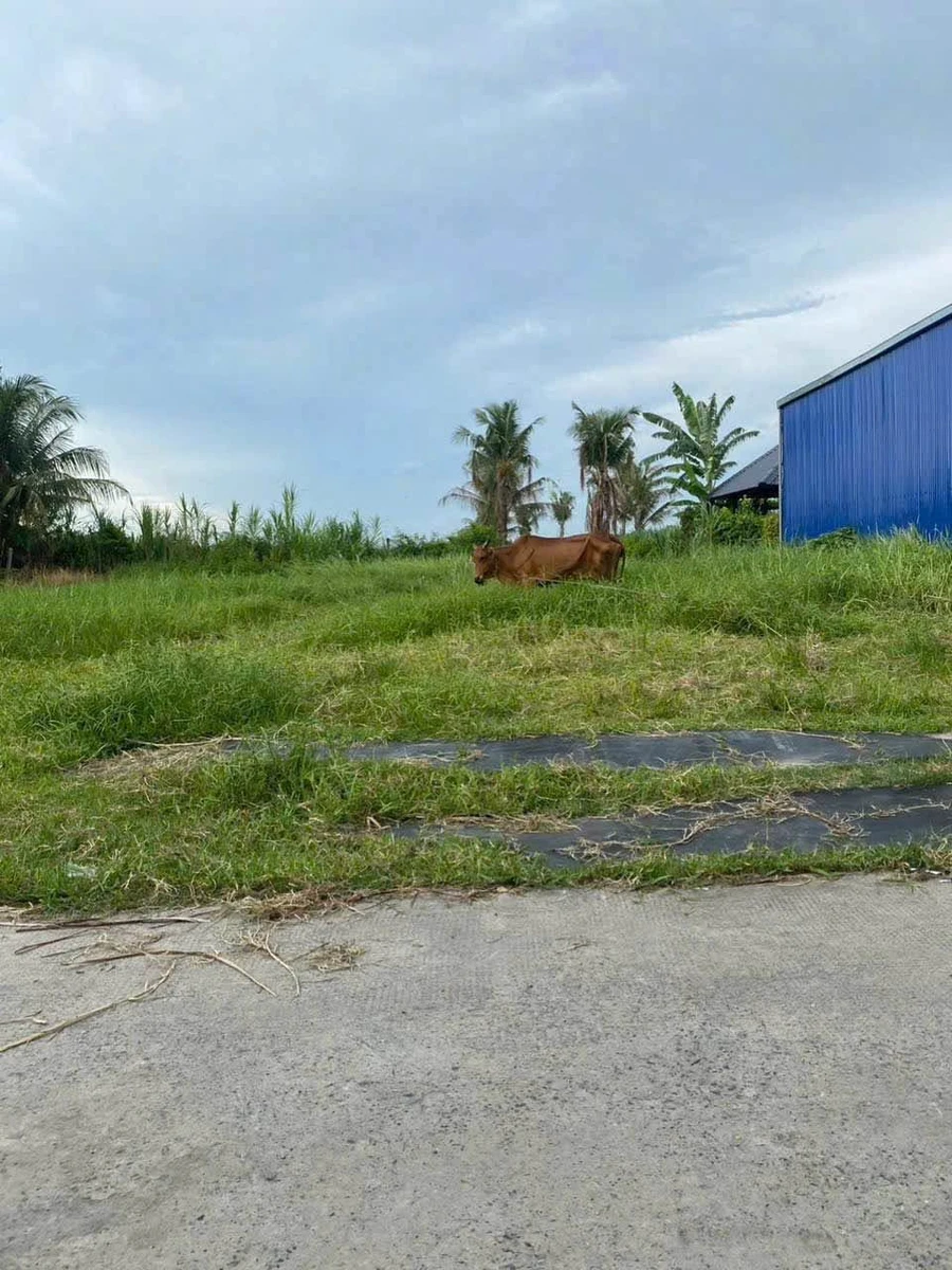 Bán lô đất 170m2 Đức Lập Thượng Tây Ninh giá 900 triệu - Ảnh thu nhỏ 2