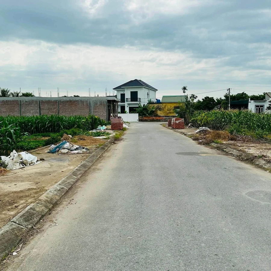 Bán đất mặt tiền 90m² tại Ngũ Hùng, Thanh Miện, Hải Phòng, giá 1 tỷ 3 - Ảnh thu nhỏ 3
