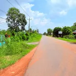 Bán đất Tây Ninh Ấp An Bình 280 triệu - Ảnh thu nhỏ 3