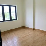 Cho thuê nhà 3PN 100m2 gần Tân Đông Hiệp, Dĩ An, Bình Dương - Ảnh thu nhỏ 4