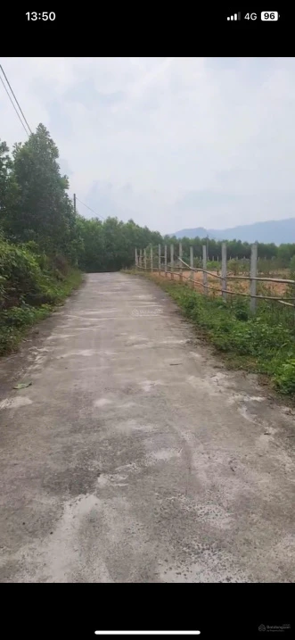 Chào bán lô đất vườn diện tích khủng hơn thích hợp xây villa hoặc kinh doanh du lịch tại Bà Nà - Ảnh thu nhỏ 2