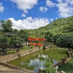 Bán gấp lô đất 19.000m2 mặt tiền Mimoza, Đà Lạt, 40 tỷ - Ảnh thu nhỏ 1